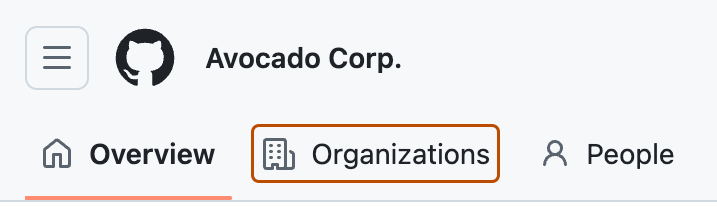 Screenshot of an enterprise. The "Organizations" tab is highlighted with an orange outline.